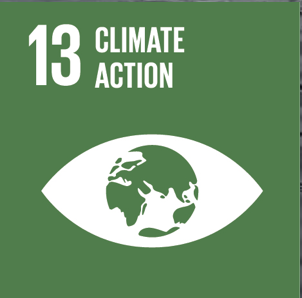 UN SDG 13 - Climate Action